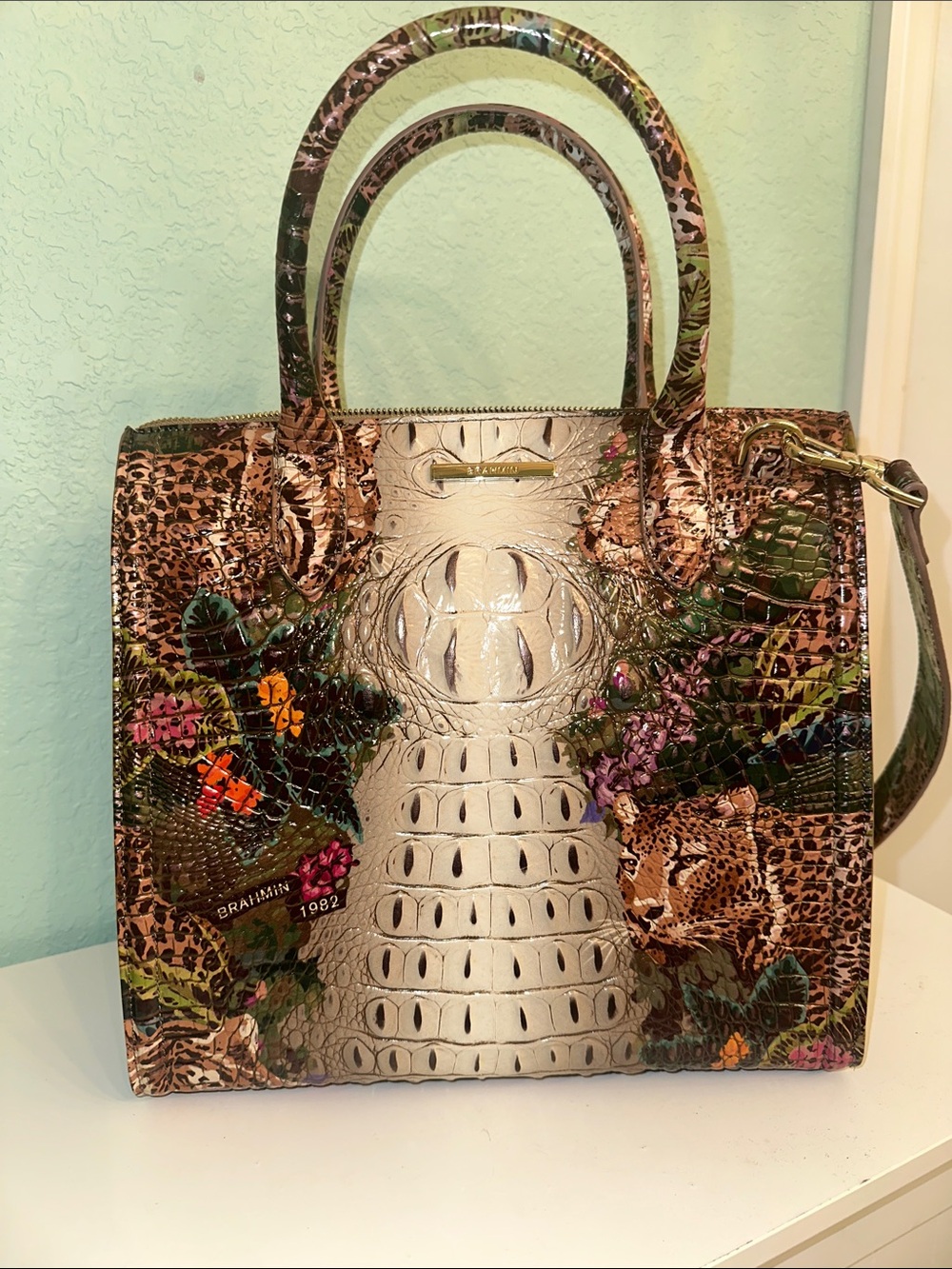 Brahmin Acadia Ombre Melbourne